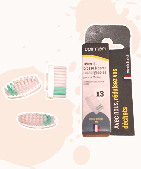 Tête rechargeable pour brosses à dents Apimani