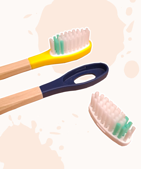 Tête rechargeable pour brosses à dents Apimani
