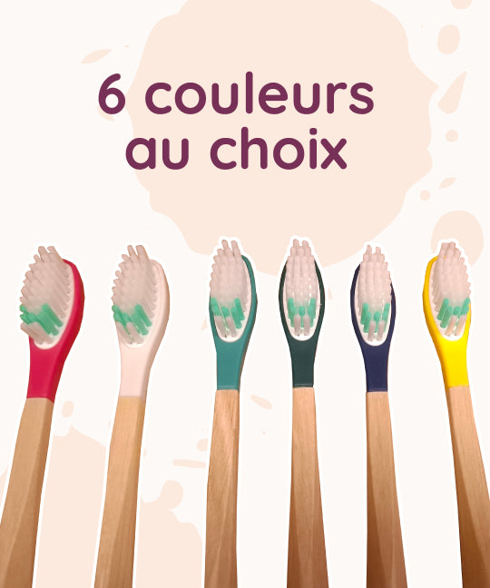 Brosse à dents Apimani - Adulte
